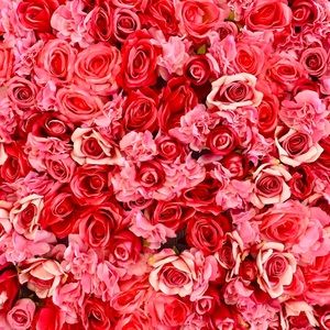 Meet your Posher, Noura